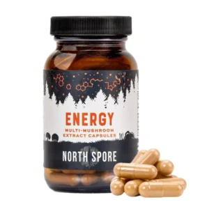 Mushroom supplement energy